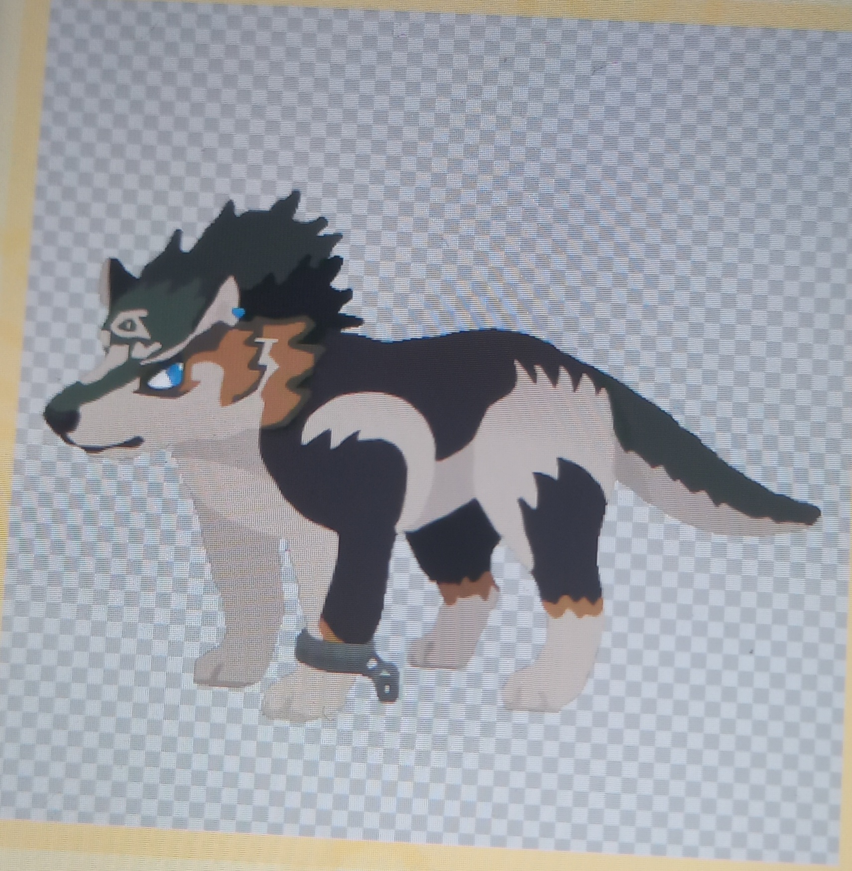 preview